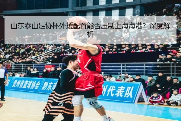 shan-dong-tai-shan-zu-xie-bei-wai-yuan-pei-zhi-neng-fou-ya-zhi-shang-hai-hai-gang-shen-du-jie-xi-3-556.jpg